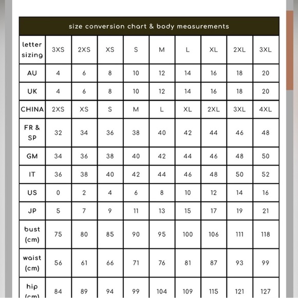 BNWT Princess Highway Denim Embroidered Libby Bee  Dress - Picture 13 of 13